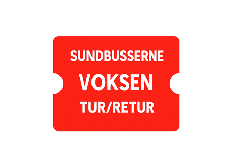 Vuxen tur- och returbiljett